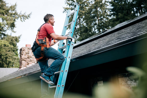 Best Roof Moss and Algae Removal  in Buffalo, MN