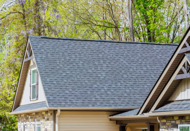 Best Roof Ventilation Installation  in Buffalo, MN