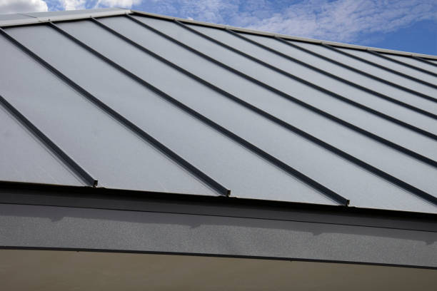 Best Sheet Metal Roofing  in Buffalo, MN